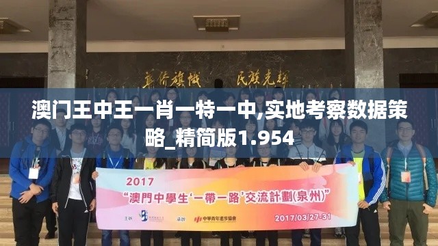 澳门王中王一肖一特一中,实地考察数据策略_精简版1.954