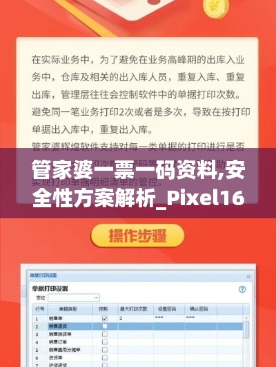 管家婆一票一码资料,安全性方案解析_Pixel16.448