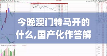 今晚澳门特马开的什么,国产化作答解释定义_豪华款3.713
