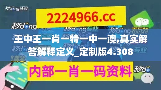 王中王一肖一特一中一澳,真实解答解释定义_定制版4.308