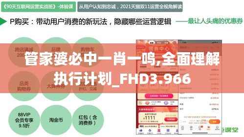 管家婆必中一肖一鸣,全面理解执行计划_FHD3.966