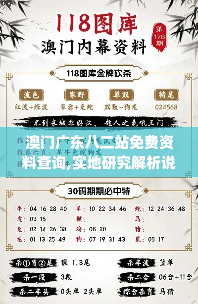 澳门广东八二站免费资料查询,实地研究解析说明_顶级版2.265