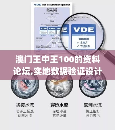 澳门王中王100的资料论坛,实地数据验证设计_精装版4.366