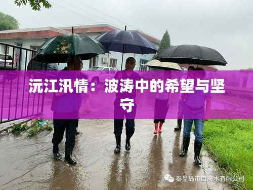 沅江汛情:波涛中的希望与坚守