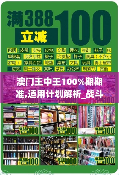 澳门王中王100%期期准,适用计划解析_战斗版5.388