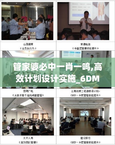 管家婆必中一肖一鸣,高效计划设计实施_6DM2.811