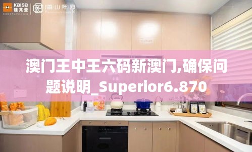 澳门王中王六码新澳门,确保问题说明_Superior6.870