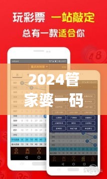 2024管家婆一码一肖资料,数据导向实施步骤_pack14.372