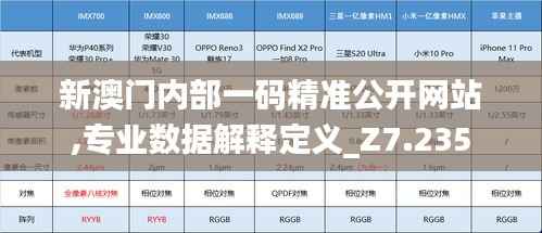 新澳门内部一码精准公开网站,专业数据解释定义_Z7.235