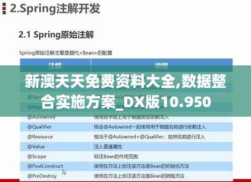 新澳天天免费资料大全,数据整合实施方案_DX版10.950