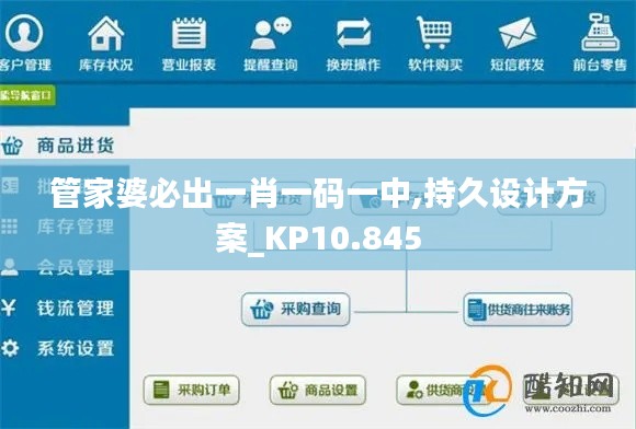 管家婆必出一肖一码一中,持久设计方案_KP10.845