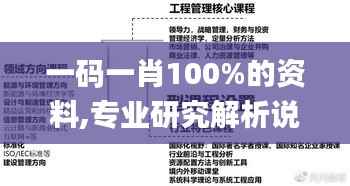 一码一肖100%的资料,专业研究解析说明_顶级款3.766