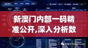 新澳门内部一码精准公开,深入分析数据应用_10DM15.385