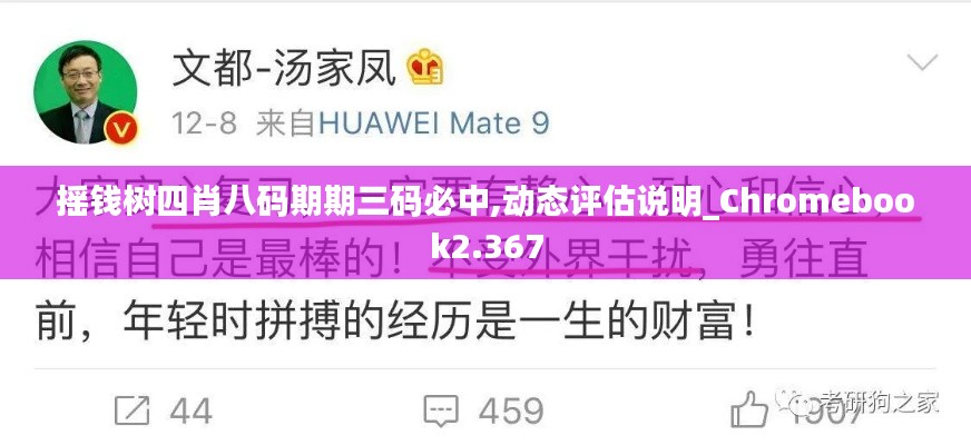 摇钱树四肖八码期期三码必中,动态评估说明_Chromebook2.367