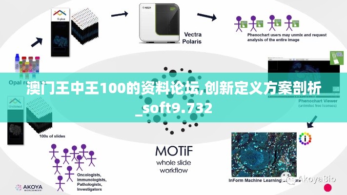 澳门王中王100的资料论坛,创新定义方案剖析_soft9.732