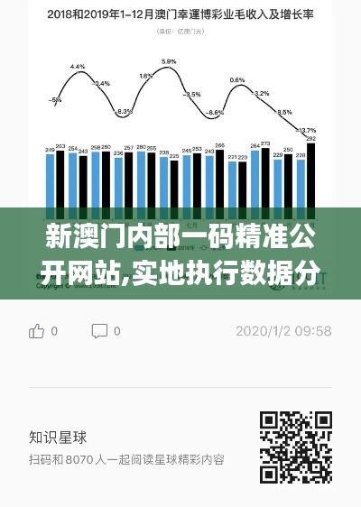 新澳门内部一码精准公开网站,实地执行数据分析_AP4.193
