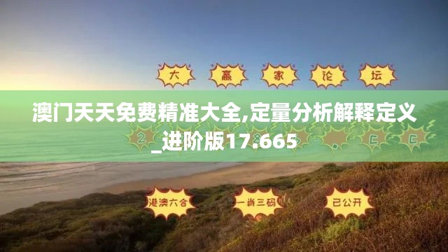 澳门天天免费精准大全,定量分析解释定义_进阶版17.665