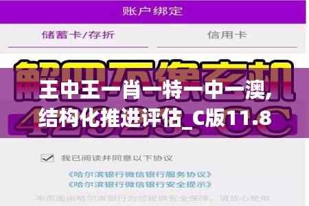 王中王一肖一特一中一澳,结构化推进评估_C版11.815