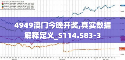4949澳门今晚开奖,真实数据解释定义_S114.583-3