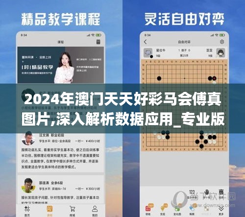 2024年澳门天天好彩马会傅真图片,深入解析数据应用_专业版52.178-9