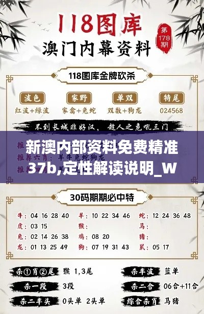 新澳内部资料免费精准37b,定性解读说明_Windows32.752-4