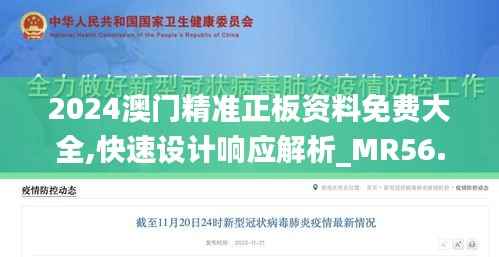 2024澳门精准正板资料免费大全,快速设计响应解析_MR56.115-9