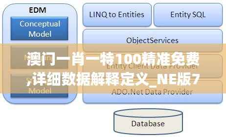 澳门一肖一特100精准免费,详细数据解释定义_NE版76.157-9