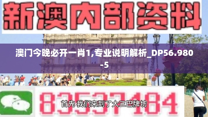 澳门今晚必开一肖1,专业说明解析_DP56.980-5