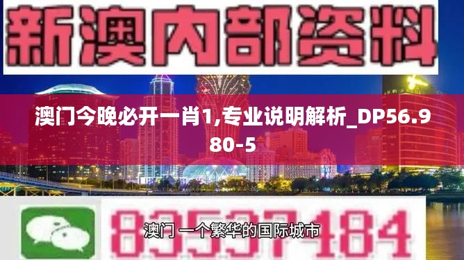 澳门今晚必开一肖1,专业说明解析_DP56.980-5