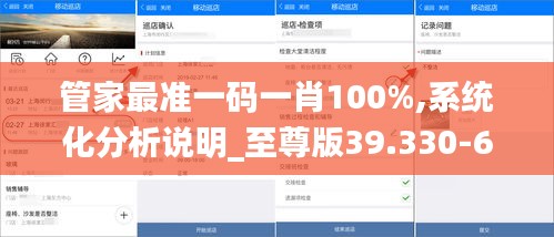 管家最准一码一肖100%,系统化分析说明_至尊版39.330-6