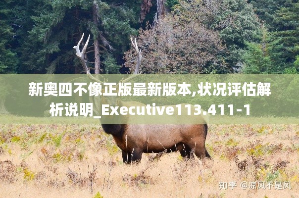 新奥四不像正版最新版本,状况评估解析说明_Executive113.411-1