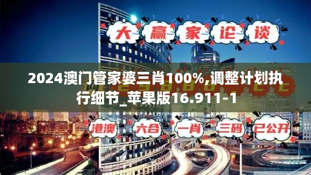 2024澳门管家婆三肖100%,调整计划执行细节_苹果版16.911-1