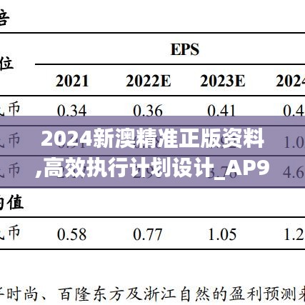 2024新澳精准正版资料,高效执行计划设计_AP93.173-6