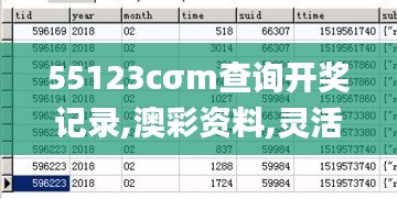 55123cσm查询开奖记录,澳彩资料,灵活性方案实施评估_LT41.119-6
