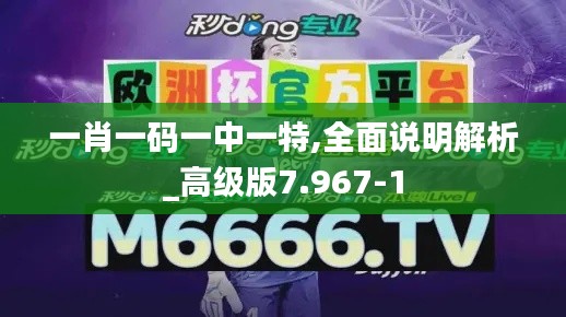 一肖一码一中一特,全面说明解析_高级版7.967-1
