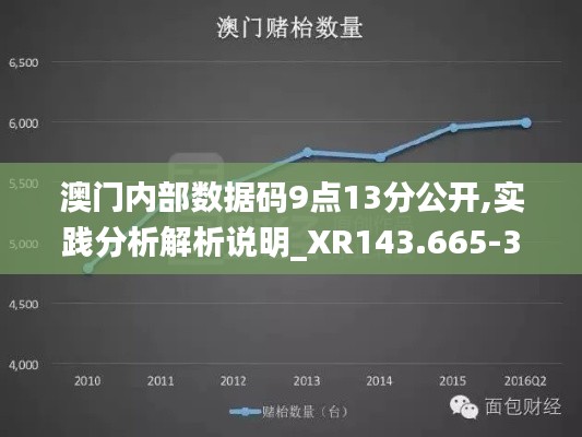 澳门内部数据码9点13分公开,实践分析解析说明_XR143.665-3