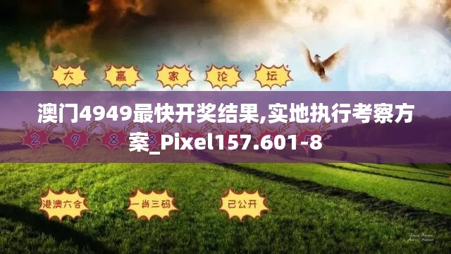 澳门4949最快开奖结果,实地执行考察方案_Pixel157.601-8