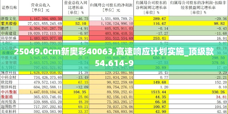 25049.0cm新奥彩40063,高速响应计划实施_顶级款54.614-9
