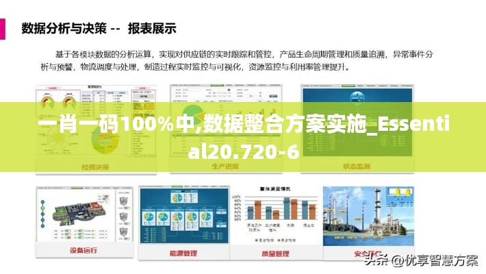 一肖一码100%中,数据整合方案实施_Essential20.720-6
