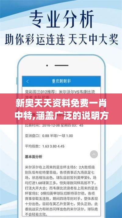 新奥天天资料免费一肖中特,涵盖广泛的说明方法_4DM125.907-6