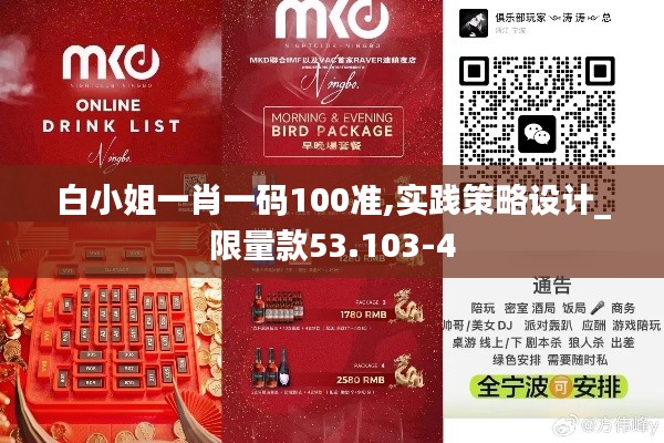 白小姐一肖一码100准,实践策略设计_限量款53.103-4