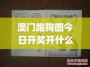 澳门跑狗图今日开奖开什么奖,时代说明评估_钻石版123.713-6