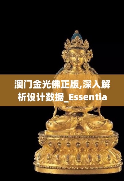 澳门金光佛正版,深入解析设计数据_Essential77.850-6