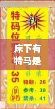 床下有特马是指什么生肖,灵活性方案解析_Tizen41.264-3