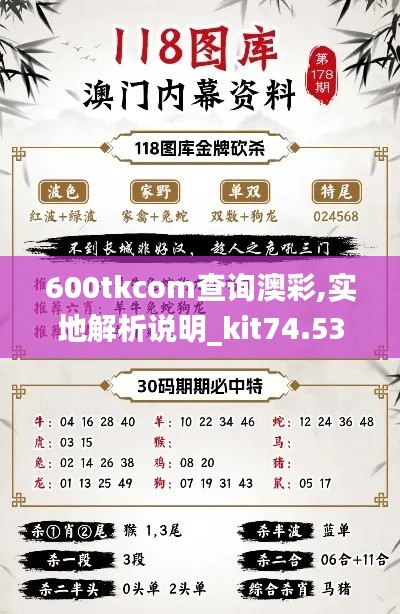 600tkcom查询澳彩,实地解析说明_kit74.533-2