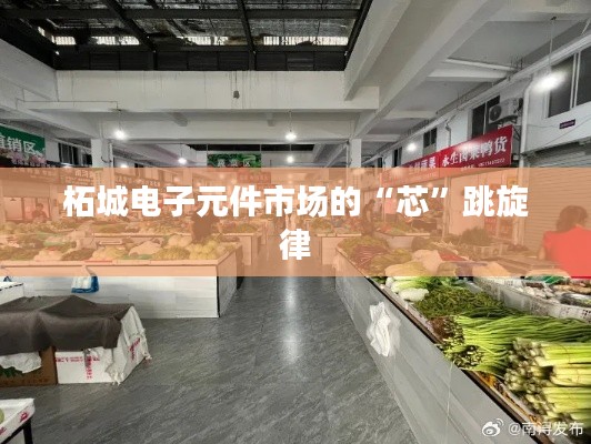 柘城电子元件市场的“芯”跳旋律