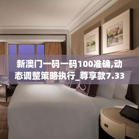 新澳门一码一码100准确,动态调整策略执行_尊享款7.333