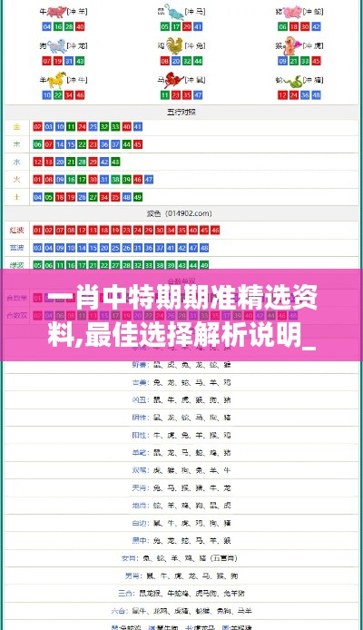 一肖中特期期准精选资料,最佳选择解析说明_VR6.407