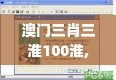 澳门三肖三淮100淮,高效策略实施_网页版16.979