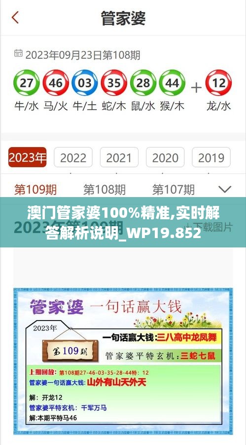澳门管家婆100%精准,实时解答解析说明_WP19.852